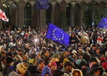 Ombudsman challenges new restrictions on demonstrations in Constitutional Court