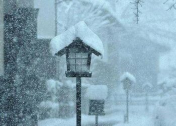 Cold weather to persist across Georgia until January 24