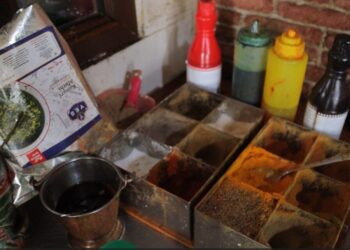 Tbilisi food safety inspections reveal critical violations at seven establishments