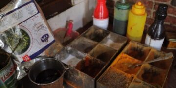 Tbilisi food safety inspections reveal critical violations at seven establishments
