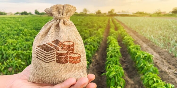 Over 50,000 farmers benefit from GEL 8.2 billion in preferential agroloans