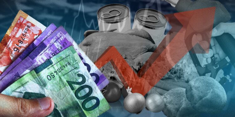 Georgia’s annual inflation reaches 4.8% in January 2026