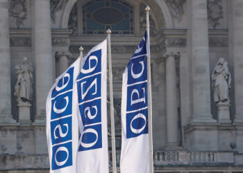 OSCE flags. Source: crisisgroup