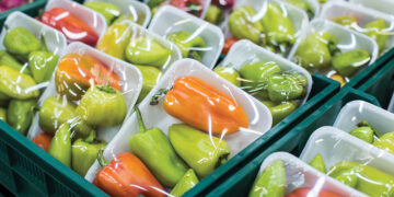 Plastic packaging. Source: trellis