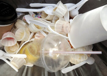 Plastic waste. Source: financialmirror