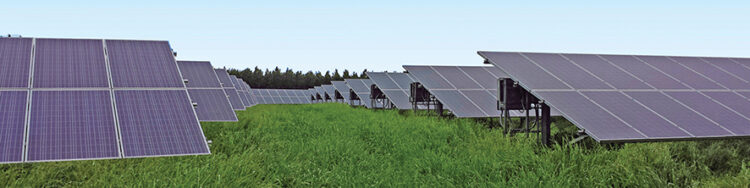 Solar panels. Source: FB