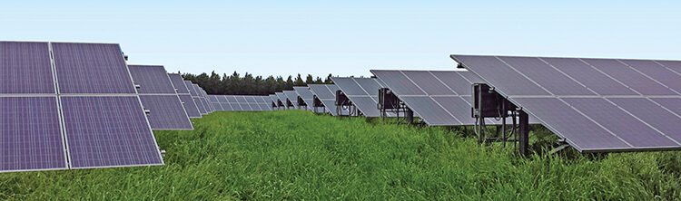 Solar panels. Source: FB