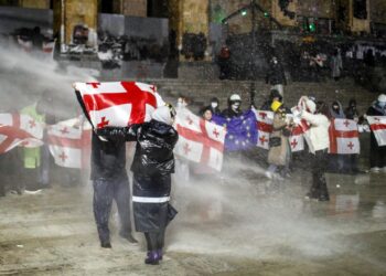 Over 20 PACE members raise concerns over alleged use of chemical agents against protesters in Georgia