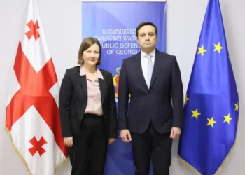 Levan Ioseliani meets OSCE Rapporteur under Moscow Mechanism