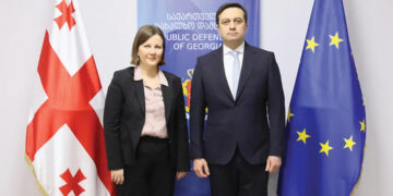 Levan Loseliani Meets OSCE Rapporteur Under Moscow Mechanism