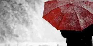 NEA issues weather alert for February 11