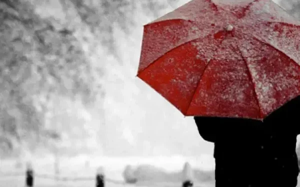 NEA issues weather alert for February 11