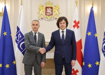 OSCE PA President says “Lack of dialogue” persists in Georgia after meetings with political leaders