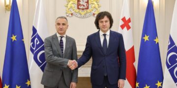 OSCE PA President says “Lack of dialogue” persists in Georgia after meetings with political leaders