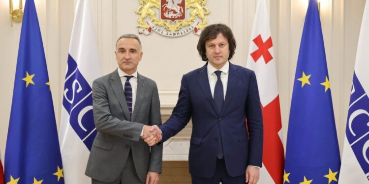 OSCE PA President says “Lack of dialogue” persists in Georgia after meetings with political leaders