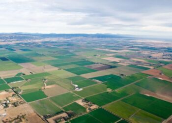 Georgia launches unified land resources database after 20-year gap