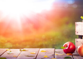 Georgia plans sectoral council to support apple producers