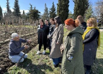 Georgian viticulturalists bring FAO vineyard management training to universities