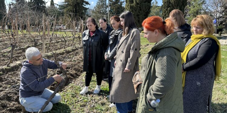 Georgian viticulturalists bring FAO vineyard management training to universities