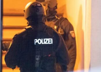 13 detained in Tbilisi Neo-Nazi crackdown, 7 minors among suspects