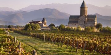 Georgia to introduce state authorization for new commercial vineyards