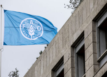 FAO advisor Juba Maruashvili joins local innovation forum