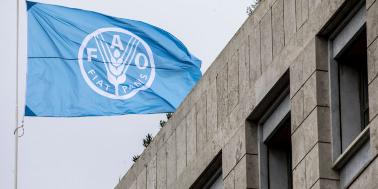 FAO advisor Juba Maruashvili joins local innovation forum