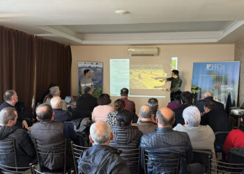 Integrated orchard management training for hazelnut farmers. Source: FAO Georgia