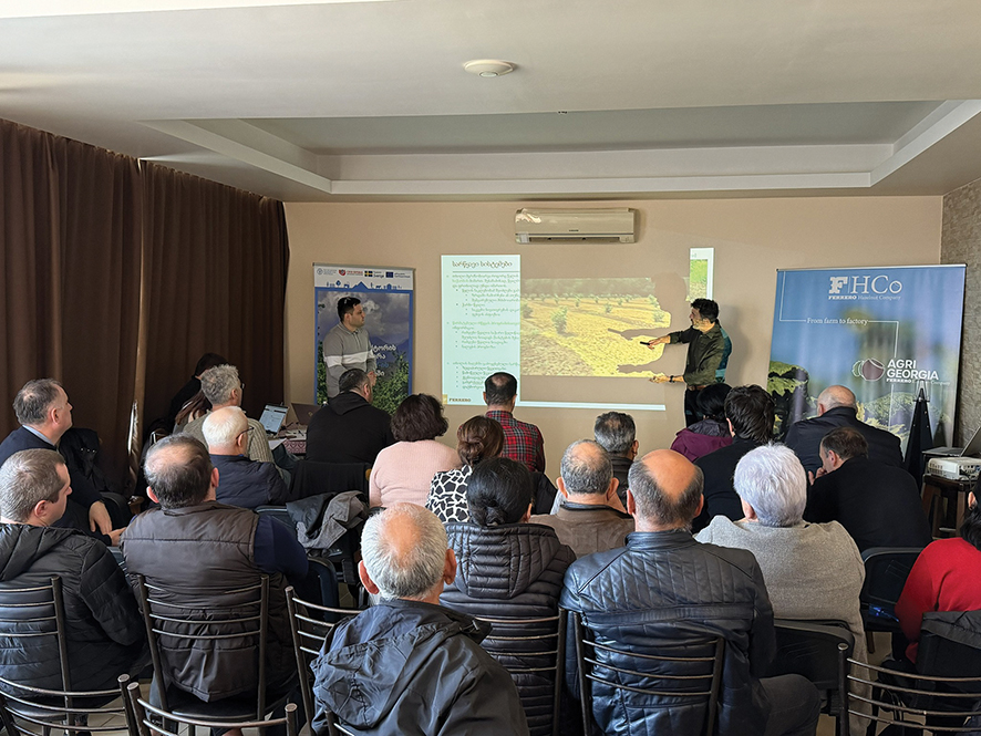 Georgian Hazelnut Farmers Boost Skills through EU-Backed Training Program