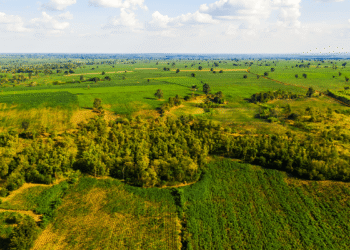 Georgia launches unified land fund database after two-decade gap