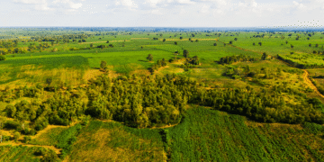 Georgia launches unified land fund database after two-decade gap