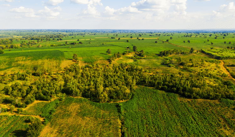 Unpopulated eland from above. Photo: Green Earth.
