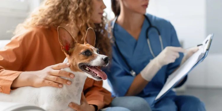 Georgia to launch nationwide pet registration system