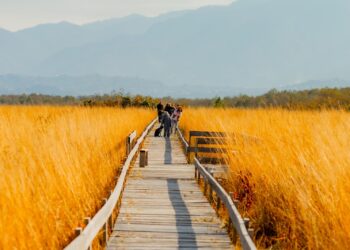 Adjara to launch training program for protected area hiking guides