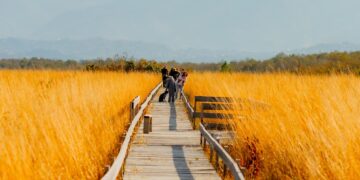 Adjara to launch training program for protected area hiking guides