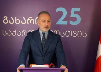 Gakharia for Georgia proposes commission to study minimum wage