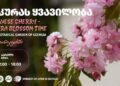 Tbilisi Botanical Garden to host Sakura blossom festival on April 4–5