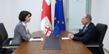 Foreign Ministry: Bochorishvili tells EU ambassador Brussels’ current policy undermines trust and damages partnership
