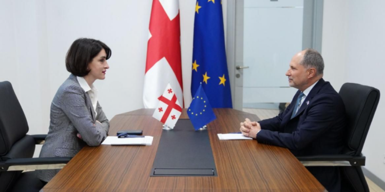 Foreign Ministry: Bochorishvili tells EU ambassador Brussels’ current policy undermines trust and damages partnership