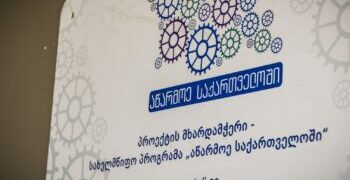 Georgia establishes economic development corporation to expand business financing