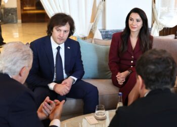 Georgia to create Economic Development Corporation and separate investment agency, PM says