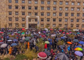 Activists rally at government administration over stray dog concerns