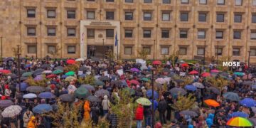 Activists rally at government administration over stray dog concerns