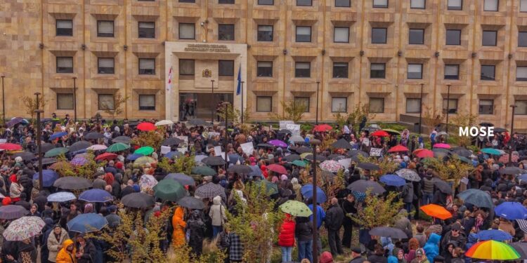 Activists rally at government administration over stray dog concerns