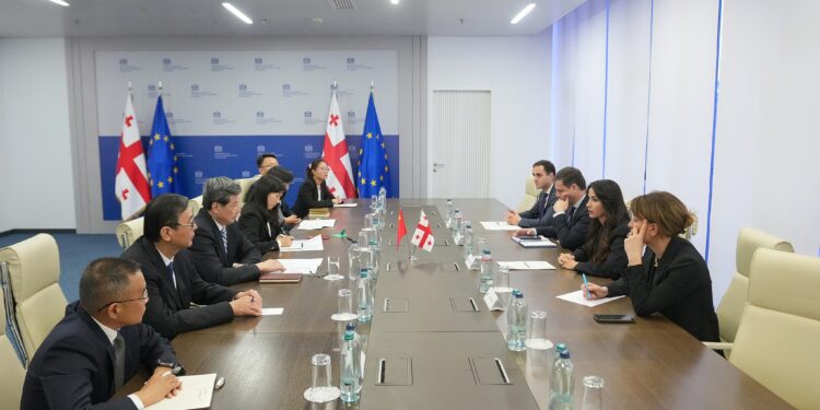 Economy minister meets China cyberspace chief, highlights digital hub ambitions