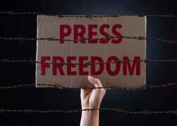 Georgia drops 21 places in press freedom index