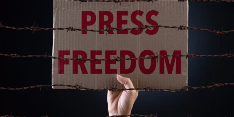 Georgia drops 21 places in press freedom index