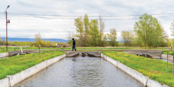 A Georgian fish farm. Source: FAO Georgia