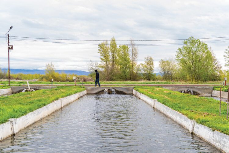 A Georgian fish farm. Source: FAO Georgia