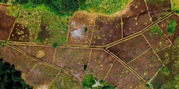 Georgia’s land market sees rising demand and price growth